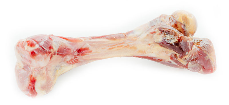 Przysmaki dla psa Prosciutto Bone - Kość z szynki Parmeńskiej - cała