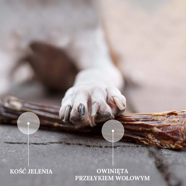 Przysmaki dla psa Ziwi Peak Kość z Jelenia w Skład Karmy