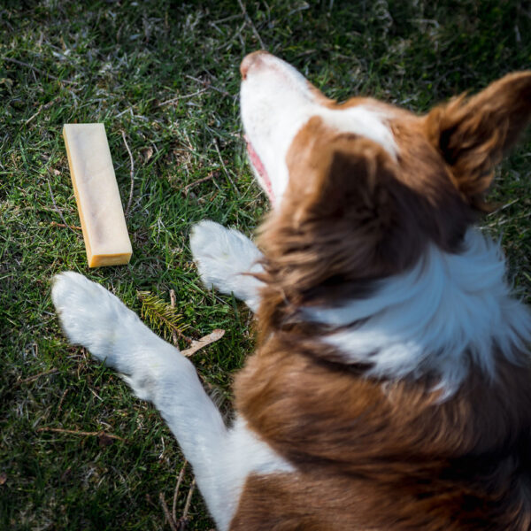 Przysmaki dla psa Ollo Himalayan Cheese Chew - Ser Himalajski w Skład Karmy