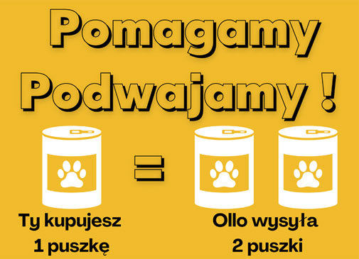 Wspieramy psy z powodzi razem z karmą dla psów Ollo w Skład Karmy