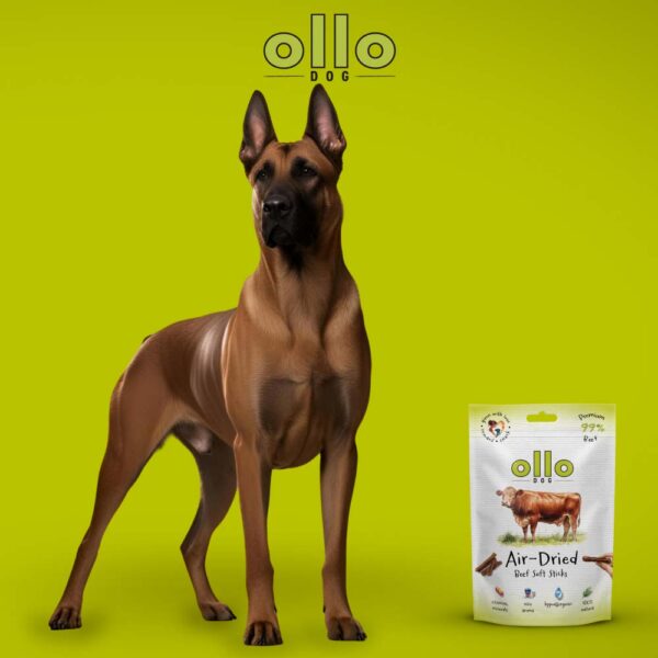 Przysmaki dla psa Ollo Air Dried Beef Sticks w Skład Karmy