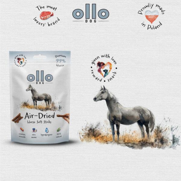 Przysmaki dla psa Ollo Air Dried Horse Sticks w Skład Karmy