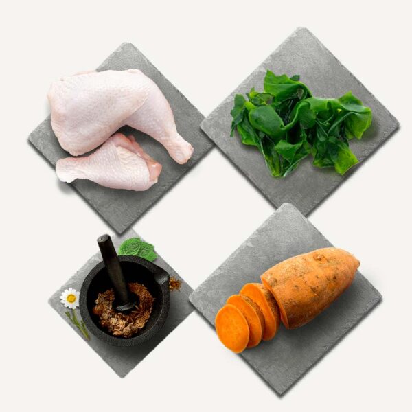 Karma sucha dla kota Canagan Free Range Chicken w Skład Karmy