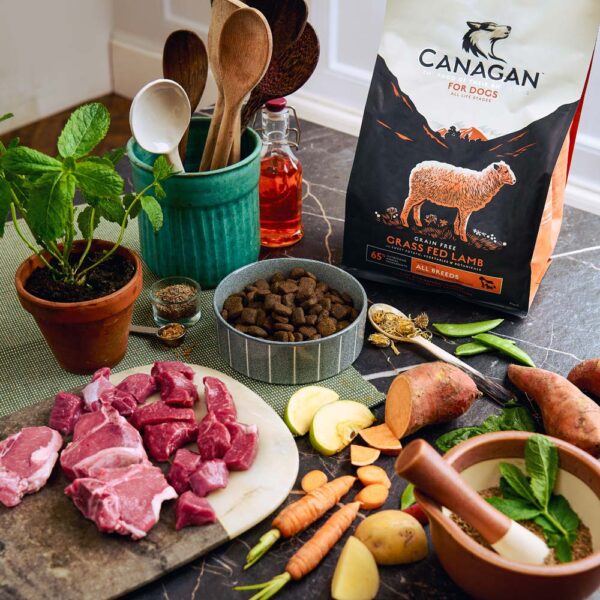 Karma sucha dla psa Canagan Grass Fed Lamb w Skład Karmy