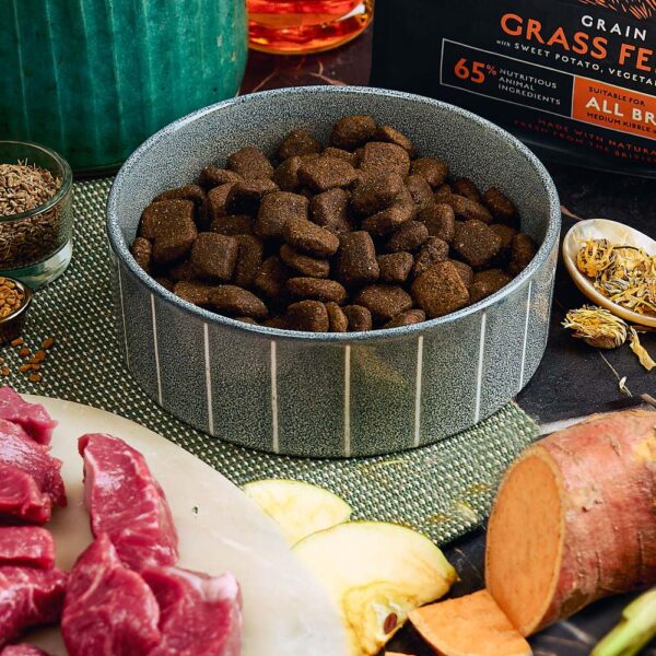 Karma sucha dla psa Canagan Grass Fed Lamb w Skład Karmy