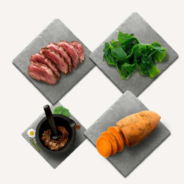 Karma sucha dla psa Canagan Grass Fed Lamb w Skład Karmy