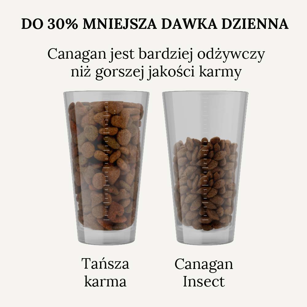Karma sucha dla psa Canagan Insect Protein w Skład Karmy
