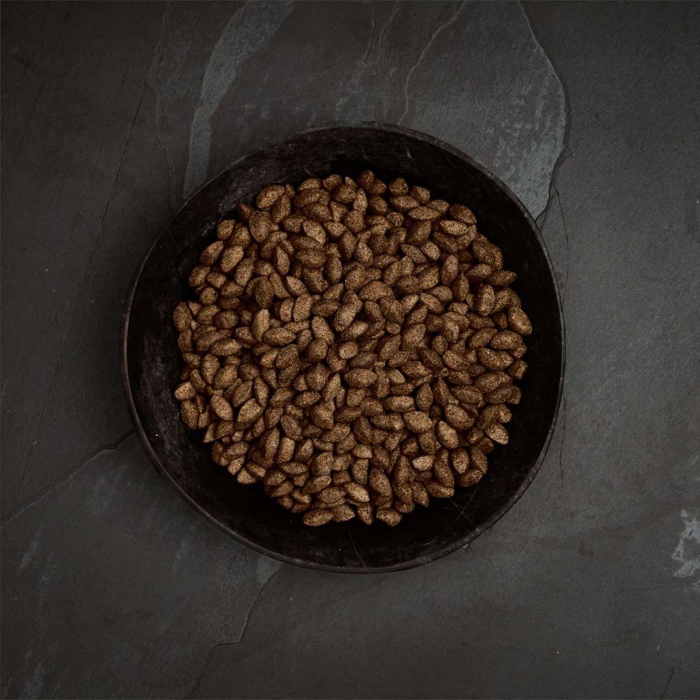 Karma sucha dla psa Canagan Insect Protein w Skład Karmy