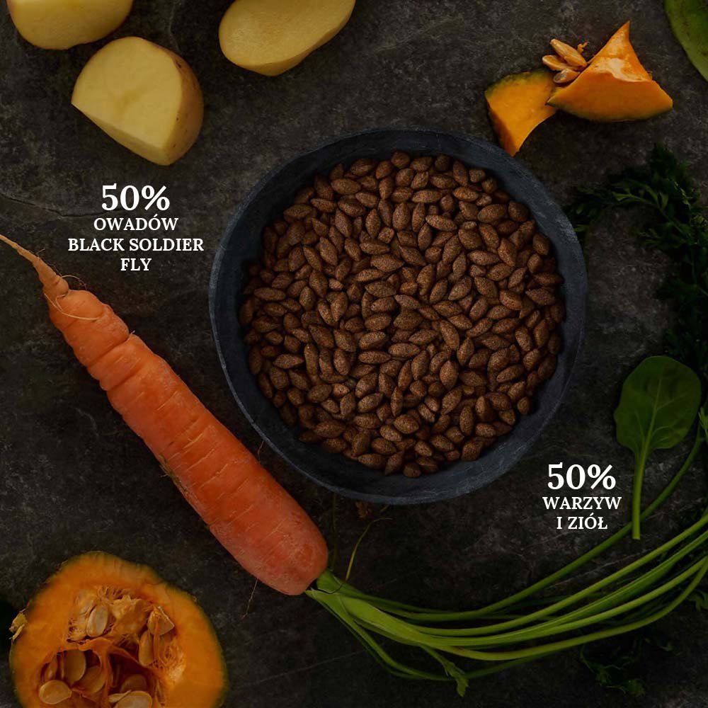 Karma sucha dla psa Canagan Insect Protein w Skład Karmy