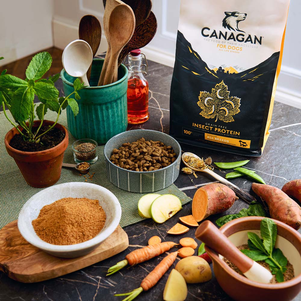 Karma sucha dla psa Canagan Insect Protein w Skład Karmy