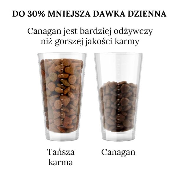 Karma sucha dla psa Canagan w Skład Karmy
