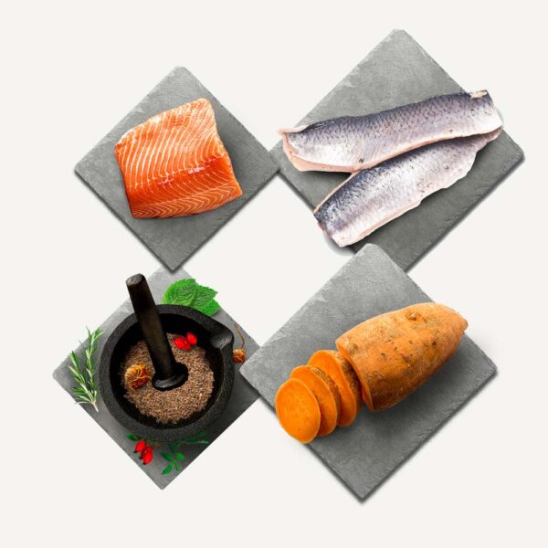 Karma mokra dla psa Salmon & Herring Supper w Skład Karmy