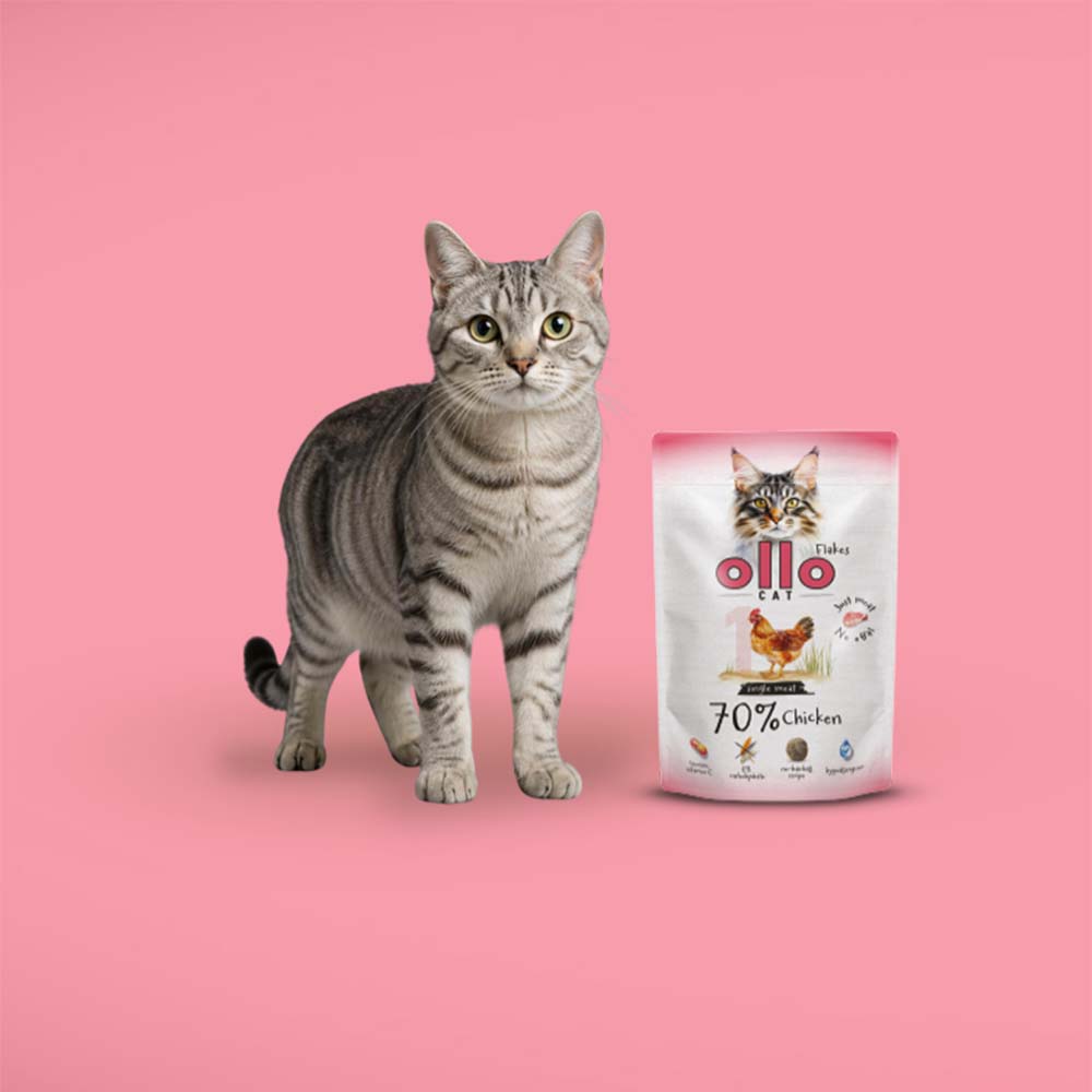 Karma mokra dla kota w saszetkach Ollo Cat nr 1 Kurczak w Skład Karmy