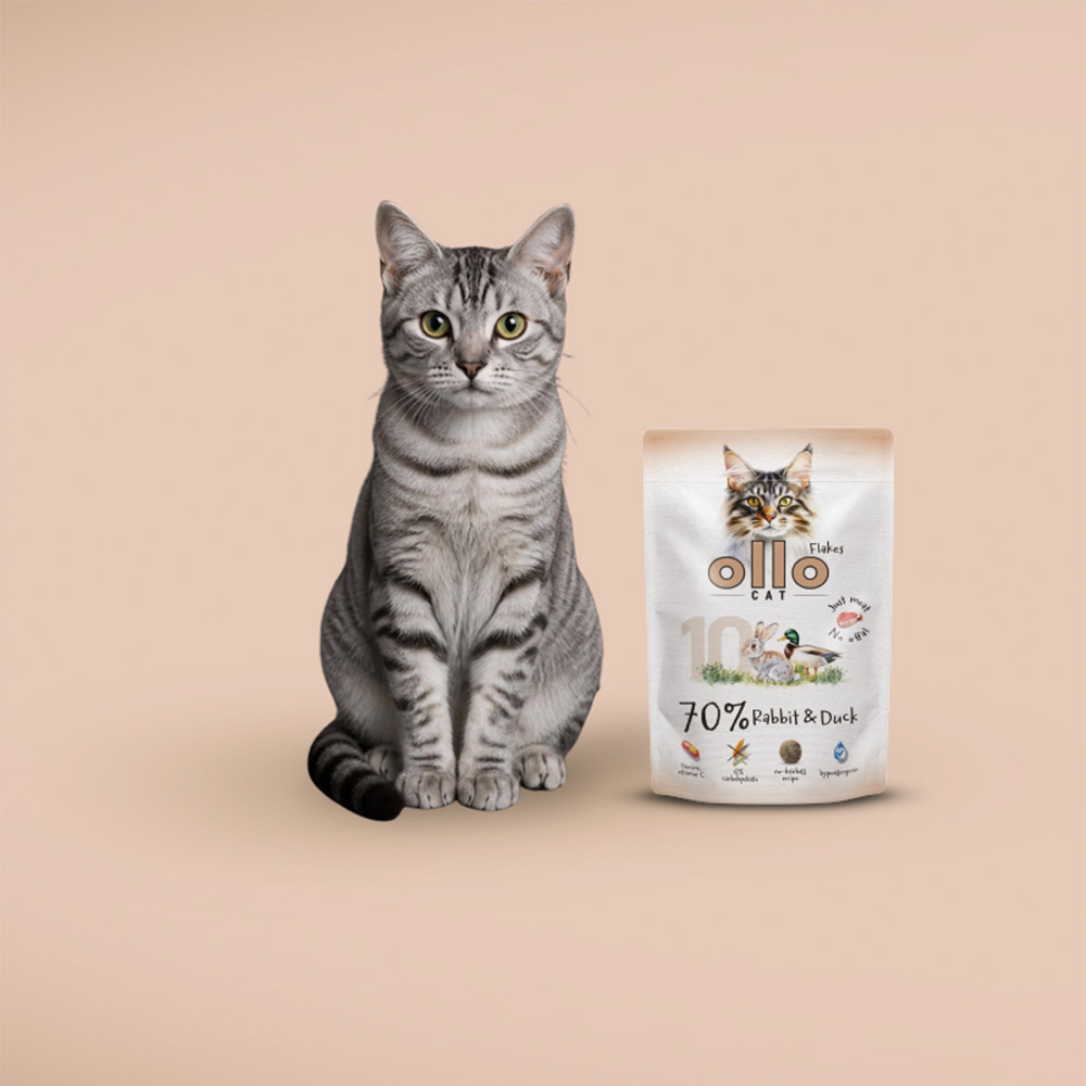 Karma mokra dla kota w saszetkach Ollo Cat nr 10 Królik i Kaczka w Skład Karmy