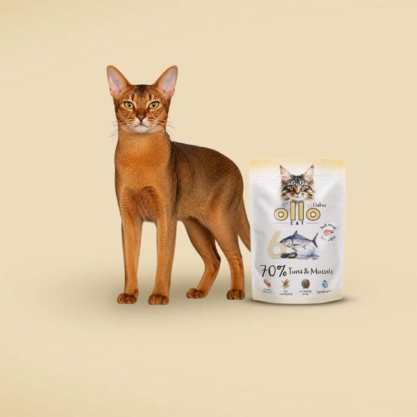 Karma mokra dla kota w saszetkach Ollo Cat nr 6 Tuńczyk i Omułek w Skład Karmy